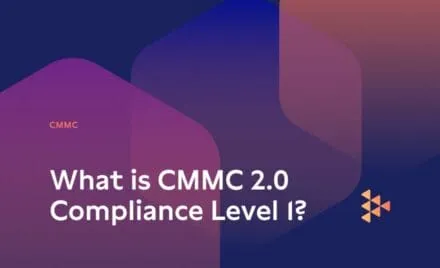 What is CMMC 2.0 Compliance Level 1?
