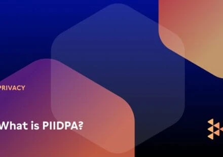 What is PIIDPA? A Plain Language Guide to Nova Scotia’s International Data Privacy Law